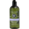 L'Occitane Aromachologie Gentle & Balance Micellar Shampoo (All Hair Types) -Elizabeth Arden Sales 449037
